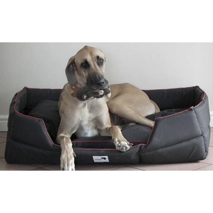 Afripet Rectangular Tuffee Dog Bed