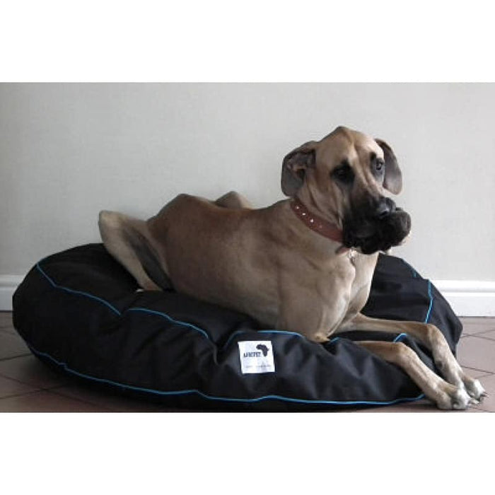 Afripet Tuffee Bean Bag