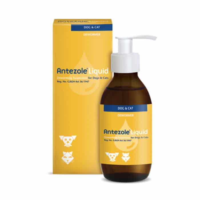 Kyron Antezole Liquid Dogs and Cats 100ml