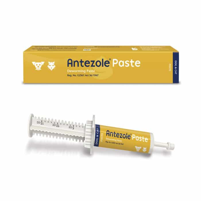 Kyron Antezole Paste Dogs and Cats