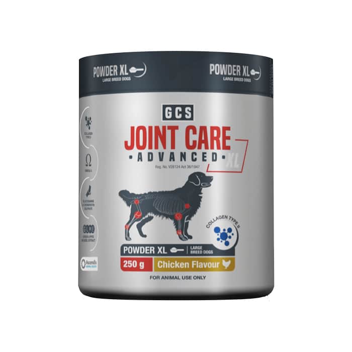 Ascendis Health GCS Joint Care Advanced Powder XL Dogs
