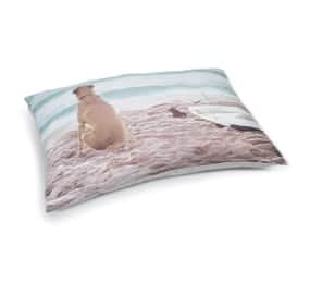 Beeztees Lounge Cushion Surfy