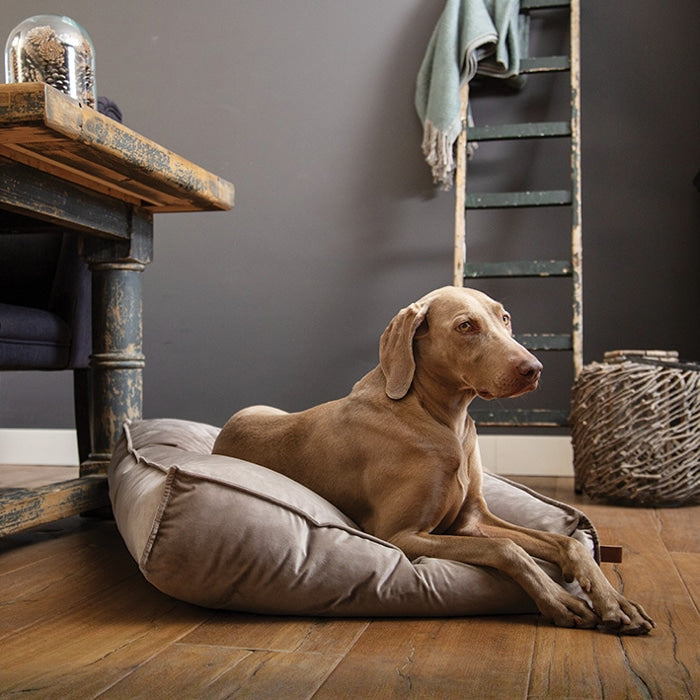 Beeztees Nalino Dog Cushion