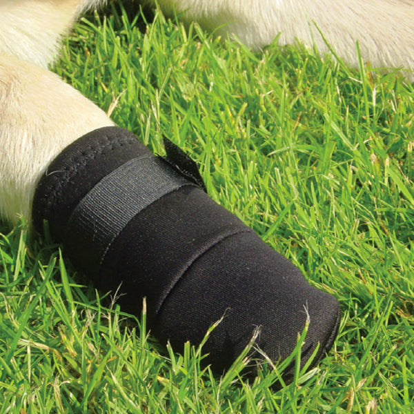 Beeztees Protective Shoe Dogs