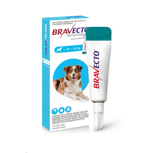 Bravecto Spot On Large Dog