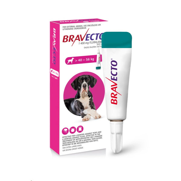Bravecto Spot On Extra Large Dog