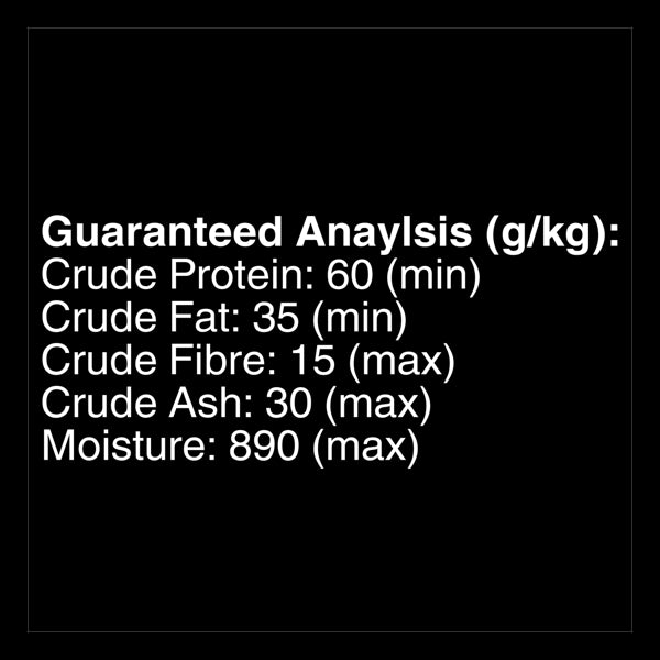 Cesar Gourmet Wet Adult Dog Food Beef 100g