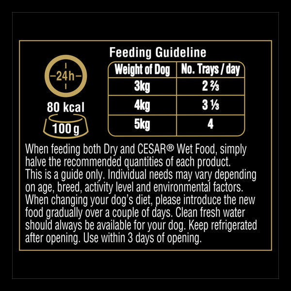 Cesar Gourmet Wet Adult Dog Food Beef 100g