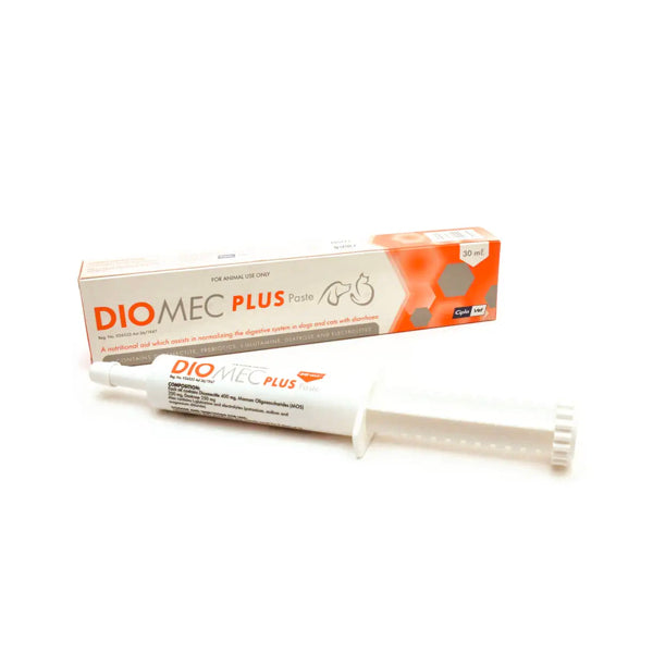Diomec Plus Paste