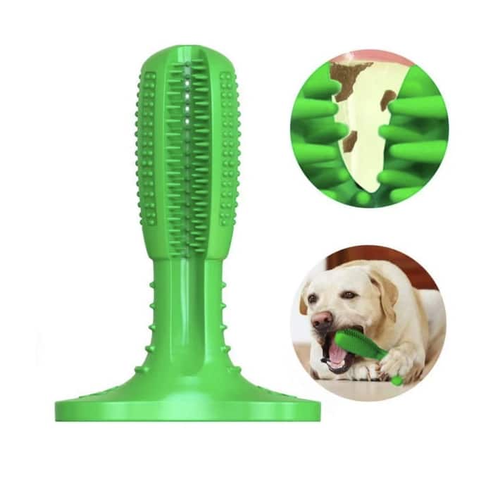 Dog Chew Toothbrush Green
