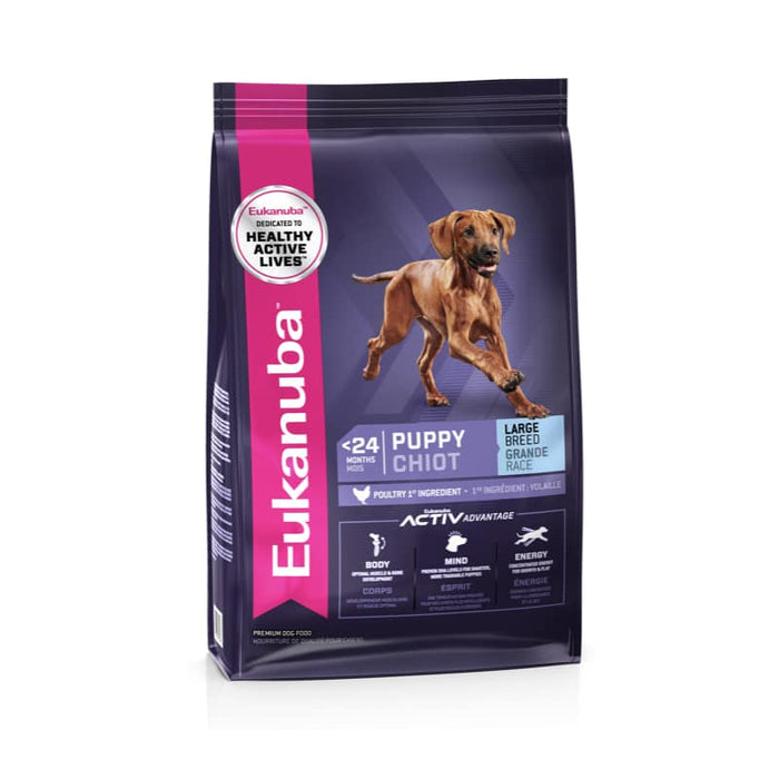 Eukanuba Large Breed Puppy Food Chicken