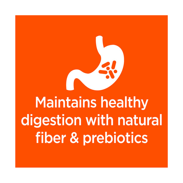 IAMS Adult Cat Food Chicken