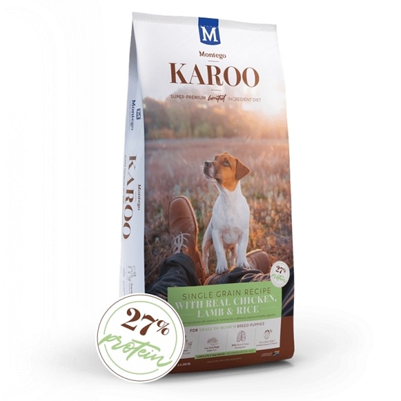 Montego Karoo Puppy
