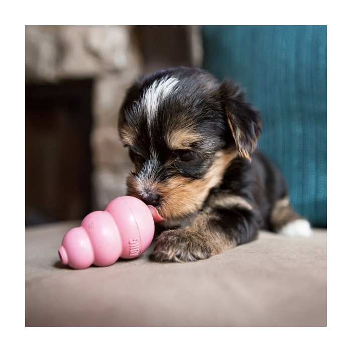 Kong® Puppy Toy