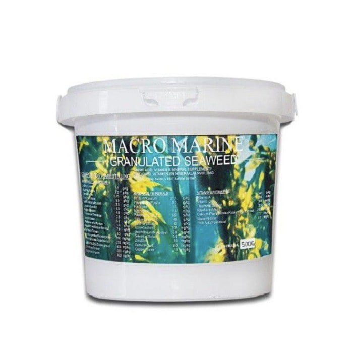 Kunduchi Granulated Seaweed Skin & Coat Supplement 500G