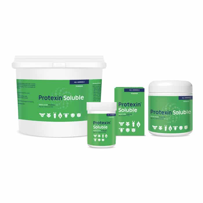 Protexin Soluble Multi-strain Probiotic