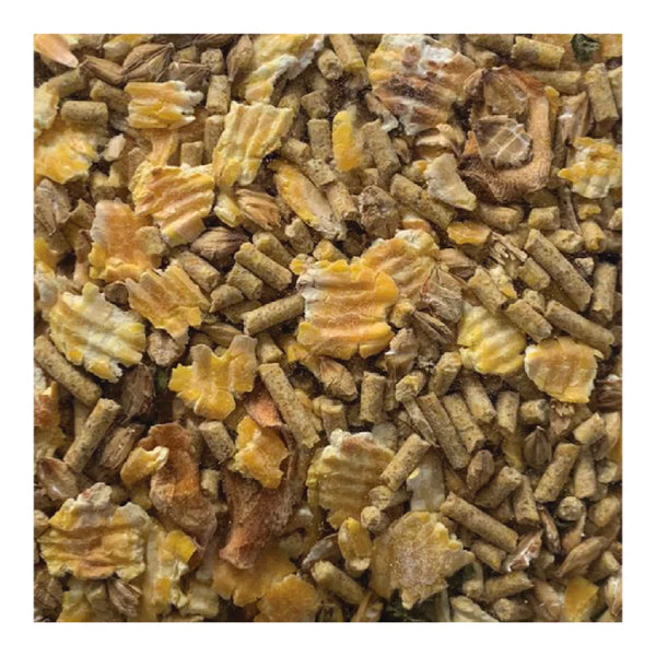 Nature's Nest Avian Wholegrain Preview