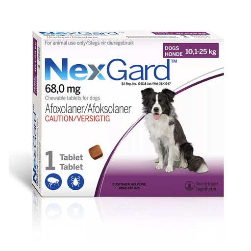 NexGard Tick and Flea Chew Medium and Large Dog 1 Chew