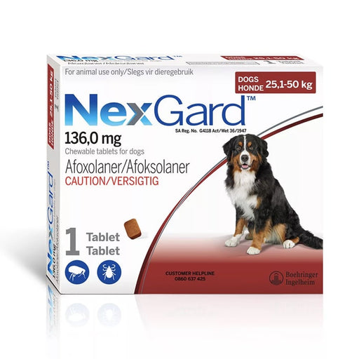 NexGard Tick and Flea Chew Large and Giant Dog 1 Chew