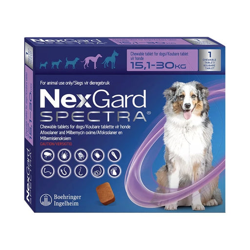 NexGard Spectra Chew Large Dog 1 Chew