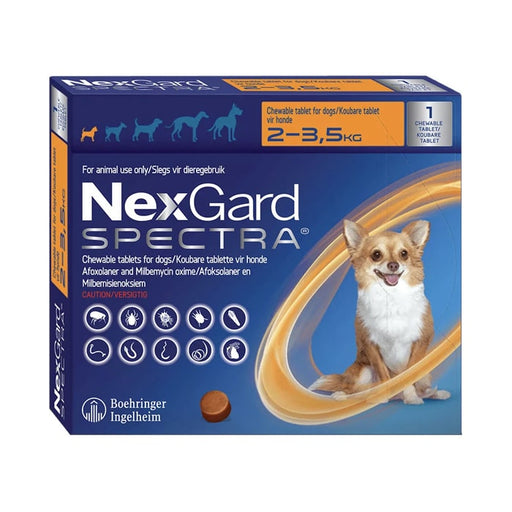 NexGard Spectra Chew Extra Small Dog 1 Chew