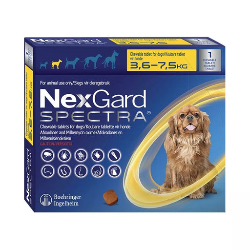 NexGard Spectra Chew Small Dog 1 Chew
