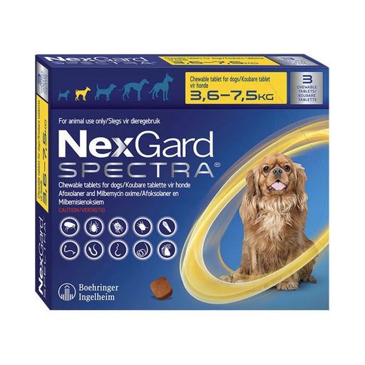 NexGard Spectra Chew Small Dog 3 Chew
