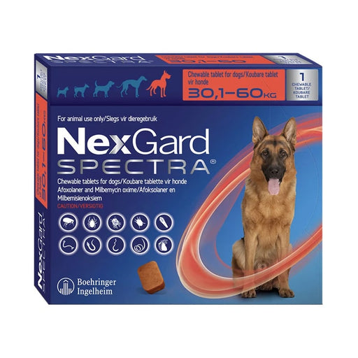 NexGard Spectra Chew Extra Large Dog 1 Chew