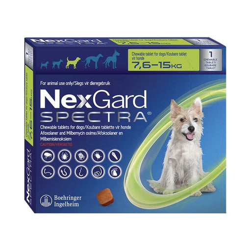 NexGard Spectra Chew Medium Dog 1 Chew