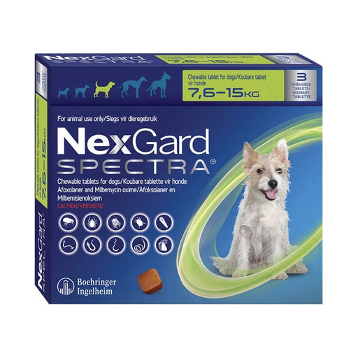 NexGard Spectra Chew Medium Dog