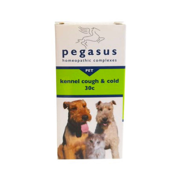 Pegasus Kennel Cough
