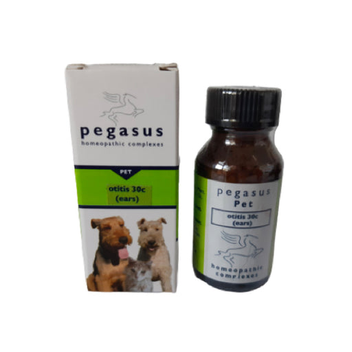 Pegasus Otitis Ears