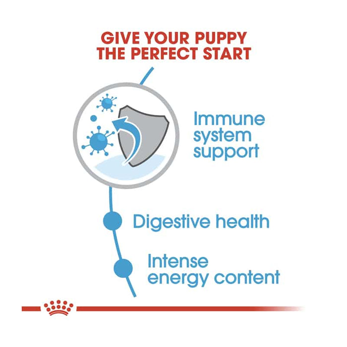 Royal Canin Mini Puppy Food Dry