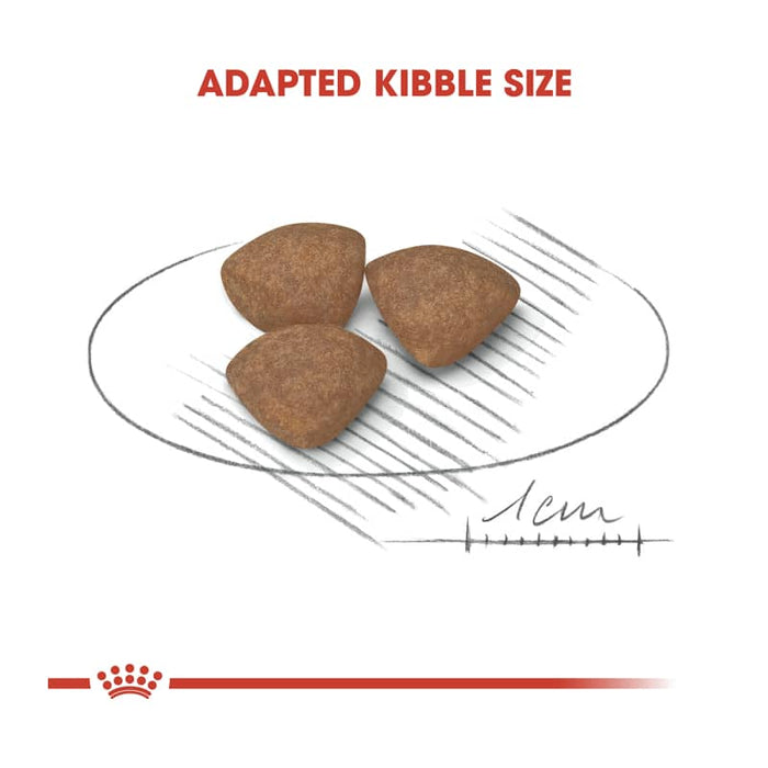 Royal Canin Mini Puppy Food Dry