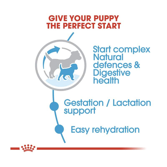 Royal Canin Mini Puppy Food Dry