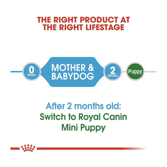 Royal Canin Mini Puppy Food Dry
