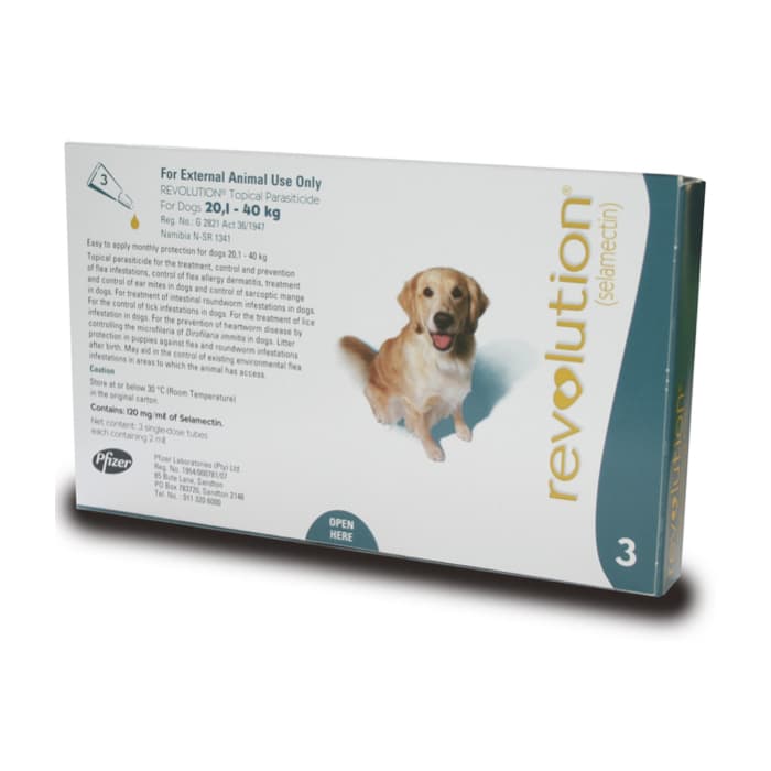 Revolution Large Dogs