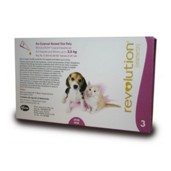 Revolution Puppy and Kitten