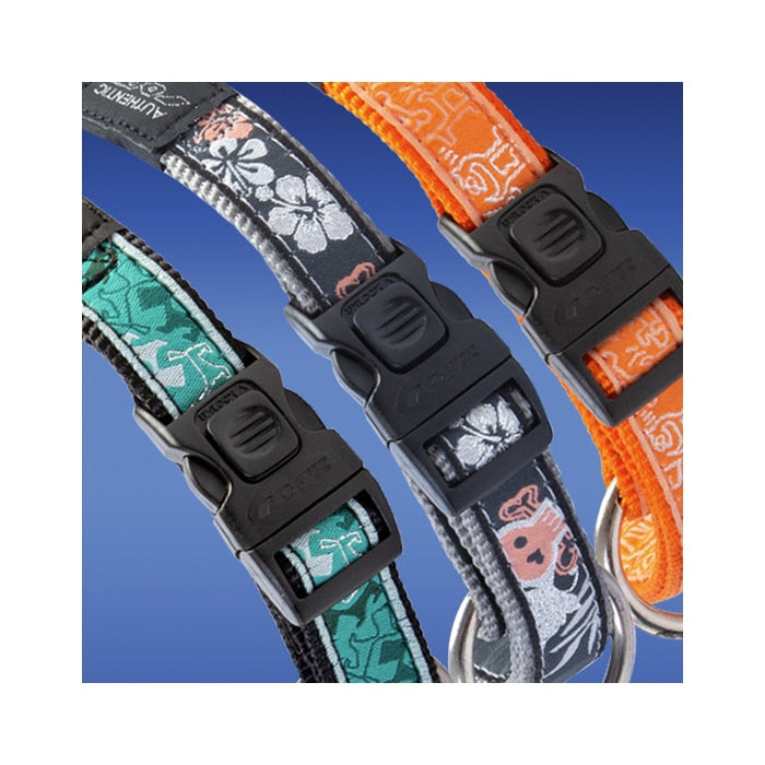 Rogz Classic Collar – Fancy Dress