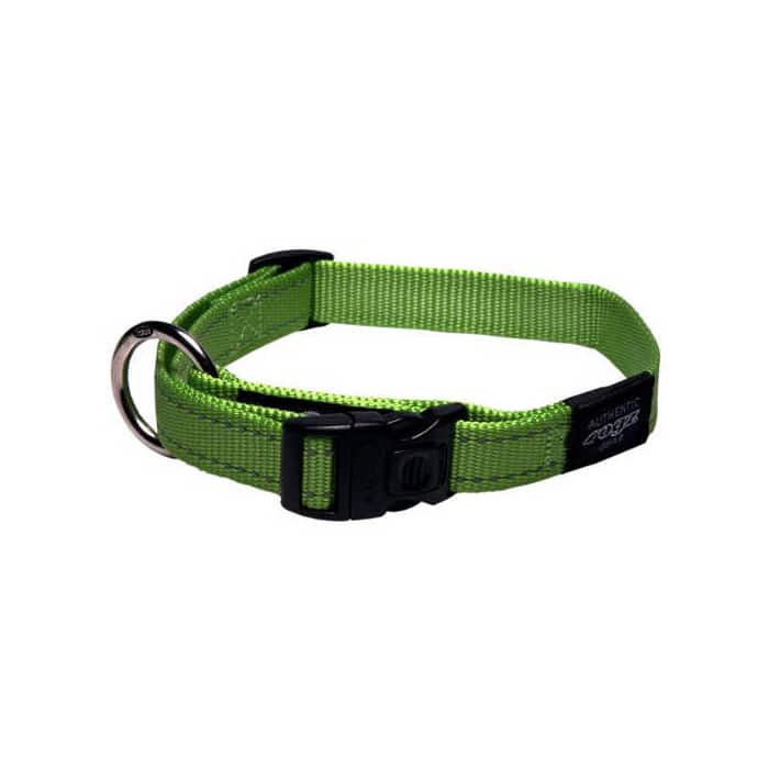 Rogz Classic Collar – Reflective Stitching