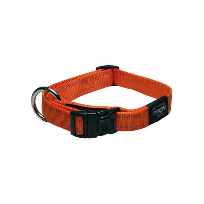 Rogz Classic Collar – Reflective Stitching