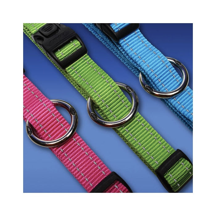 Rogz Classic Collar – Reflective Stitching