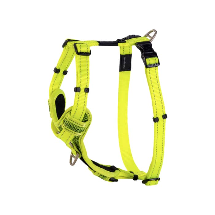 Rogz Control Harness