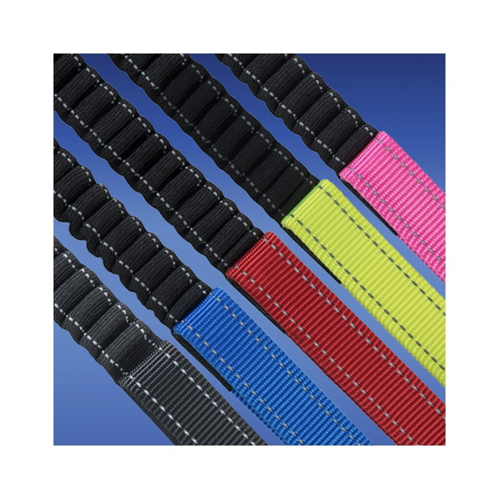 Rogz Control Lead – Shock Absorbing Bungee