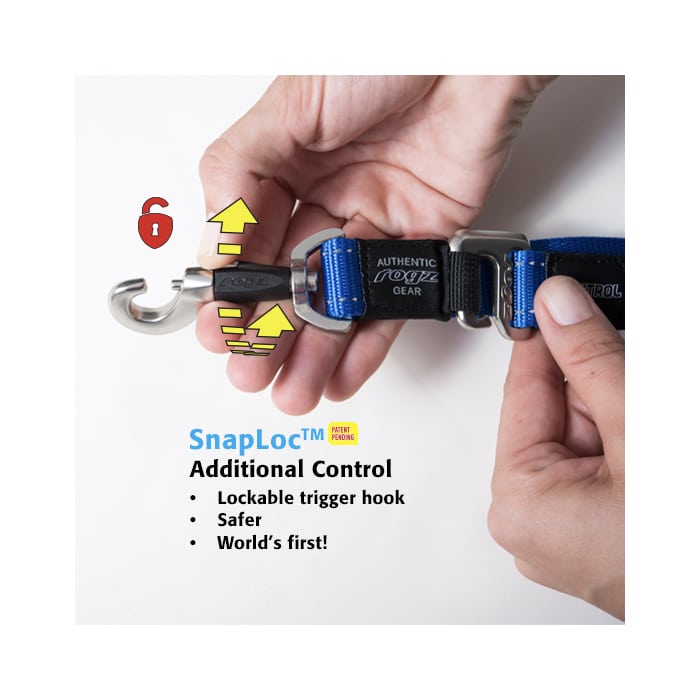 Rogz Control Lead – Shock Absorbing Bungee