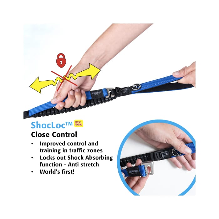 Rogz Control Lead – Shock Absorbing Bungee