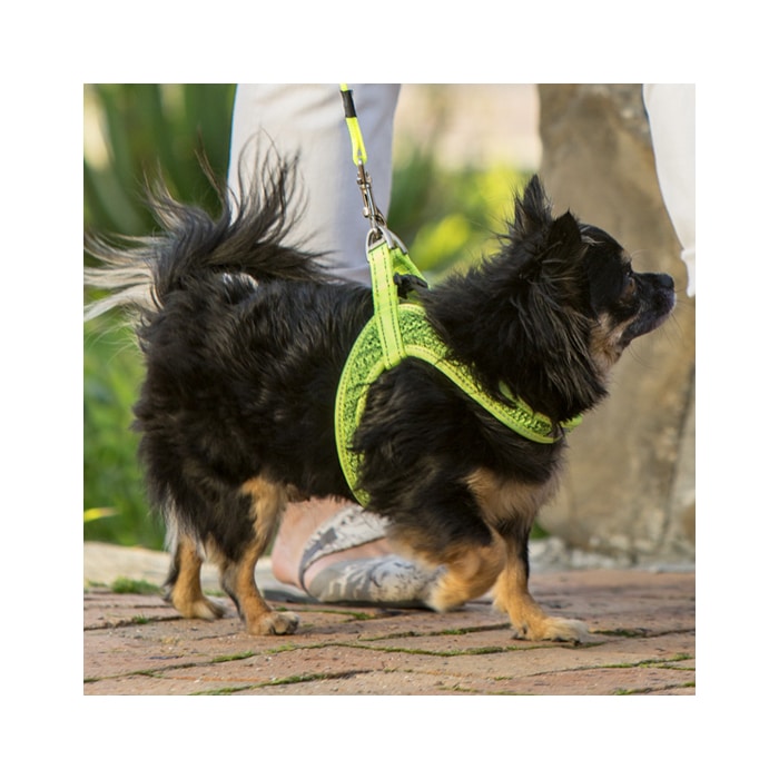 Rogz Fast-Fit Harness