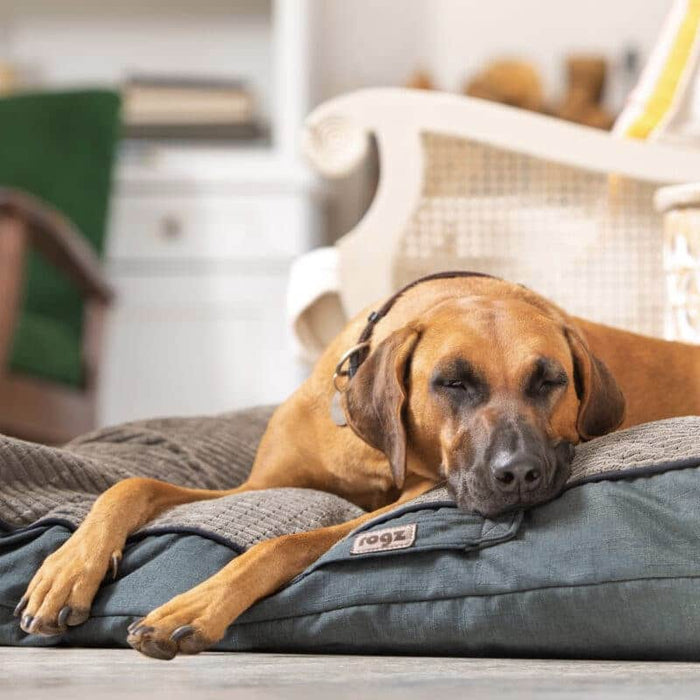 Rogz Indoor Pod Flat Dog Bed