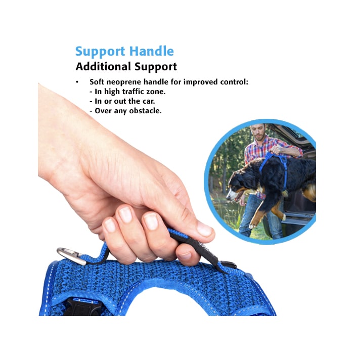 Rogz Explore Harness – Padded Harness