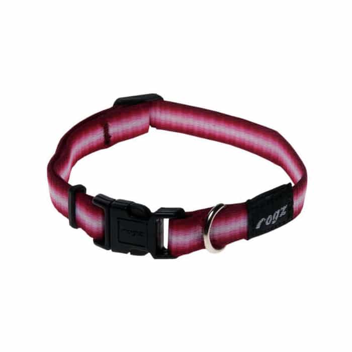 Rogz Pavement Special – Soft Webbing Collar